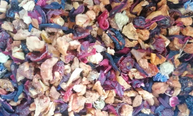 Déguster infusions cerises sauvages dans un salon de thé au Fayet